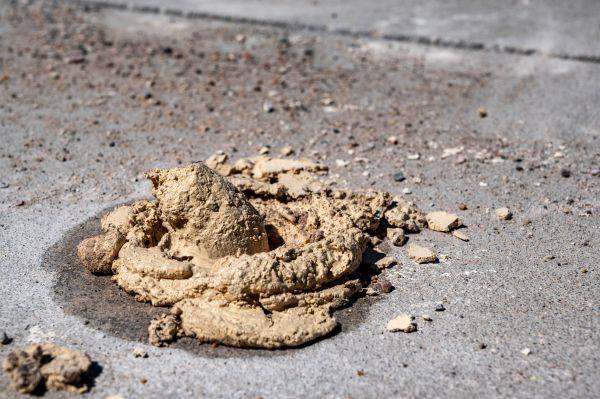 Cost of Driveway Slab Leveling in Dublin